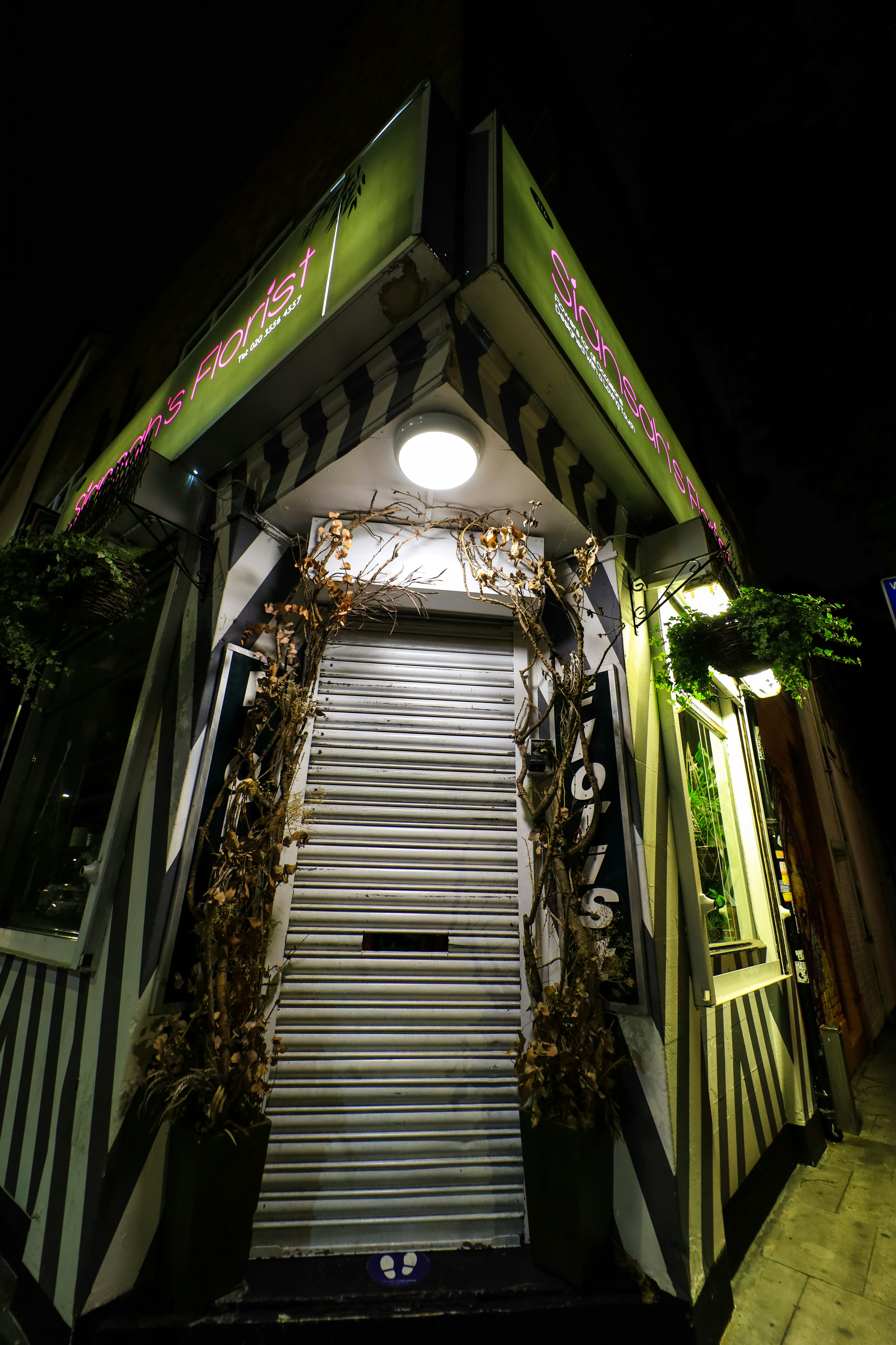 green and white wooden house